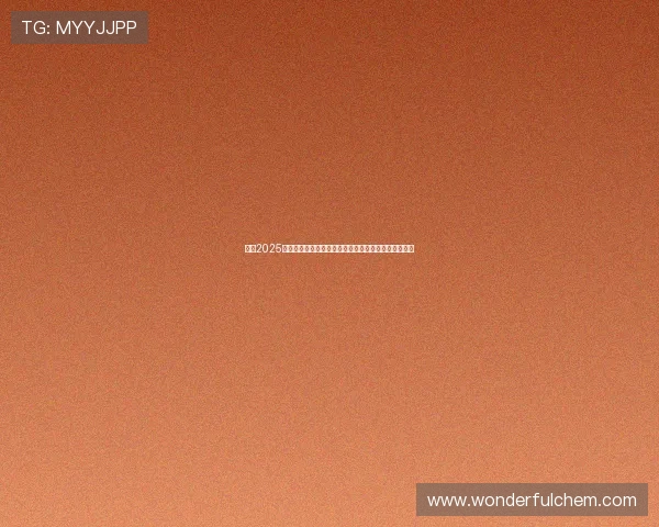 英超2025赛季球员训练营全面启动打造顶级竞技状态和团队协作 英超2025赛季球员训练营全面启动打造顶级竞技状态和团队协作