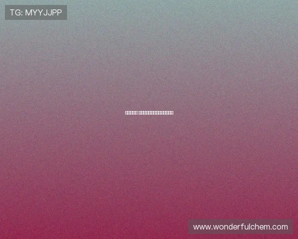 新赛季来临 这面盾牌为我们揭开了全新篇章 新赛季来临 这面盾牌为我们揭开了全新篇章